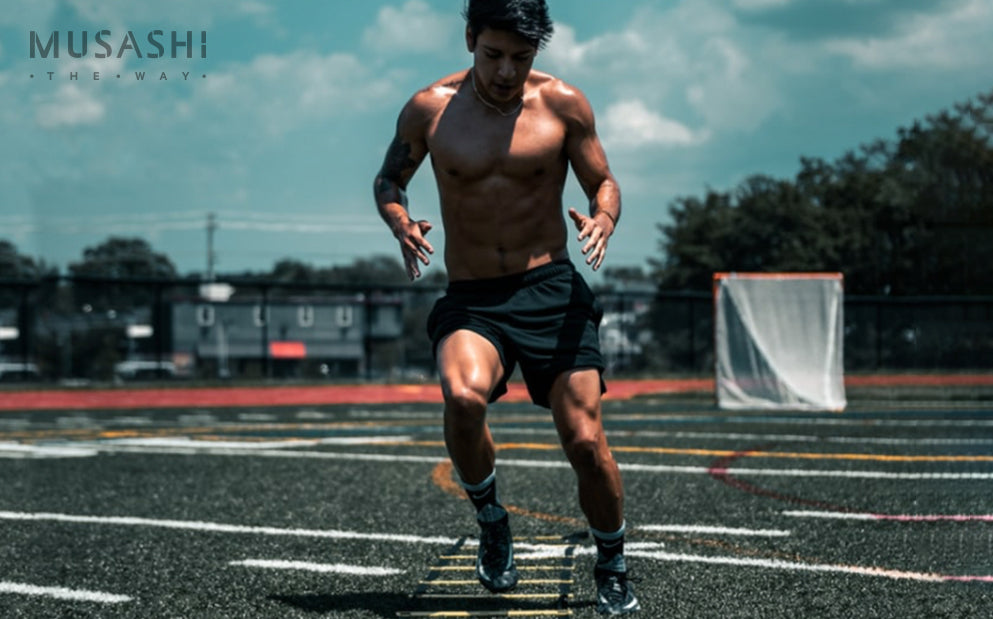How is protein used in the body? – Musashi US